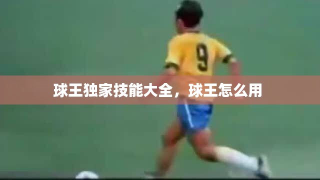 球王獨家技能大全，球王怎么用 