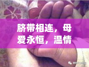 臍帶相連，母愛(ài)永恒，溫情長(zhǎng)存