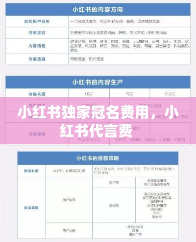 小紅書獨(dú)家冠名費(fèi)用，小紅書代言費(fèi) 