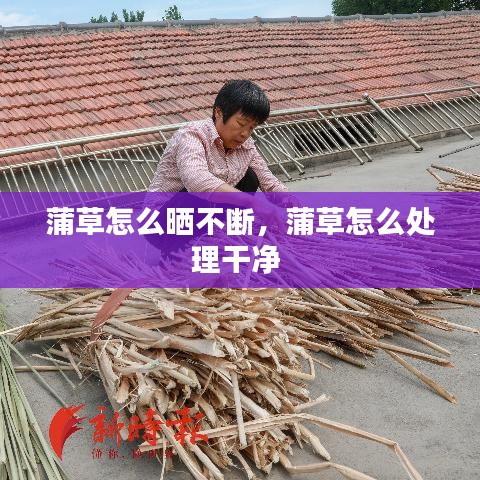 百鳥歸巢 第2頁