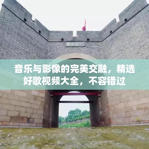 矯枉過正 第2頁