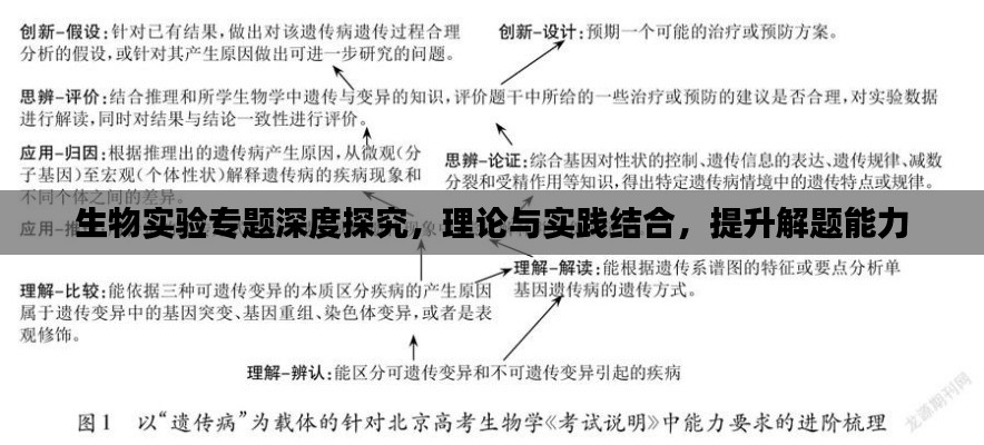生物實驗專題深度探究，理論與實踐結合，提升解題能力