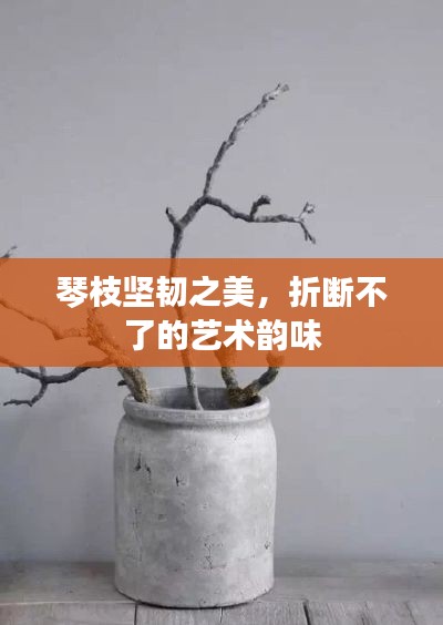 琴枝堅(jiān)韌之美，折斷不了的藝術(shù)韻味