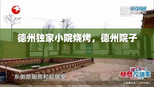 德州獨(dú)家小院燒烤，德州院子 