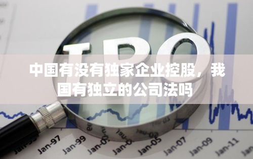 中國有沒有獨(dú)家企業(yè)控股，我國有獨(dú)立的公司法嗎 