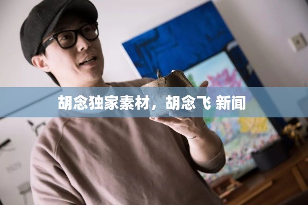 胡念獨(dú)家素材，胡念飛 新聞 