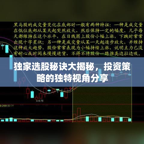 獨(dú)家選股秘訣大揭秘，投資策略的獨(dú)特視角分享