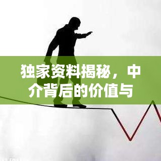獨(dú)家資料揭秘，中介背后的價(jià)值與操作策略探討