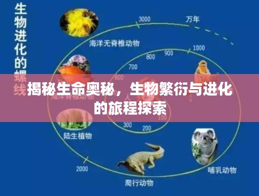 揭秘生命奧秘，生物繁衍與進(jìn)化的旅程探索