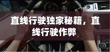 直線行駛獨(dú)家秘籍，直線行駛作弊 