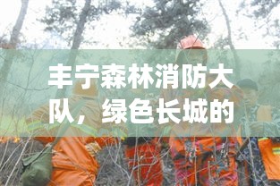 豐寧森林消防大隊，綠色長城的英勇守護者