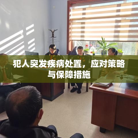 犯人突發(fā)疾病處置，應(yīng)對(duì)策略與保障措施