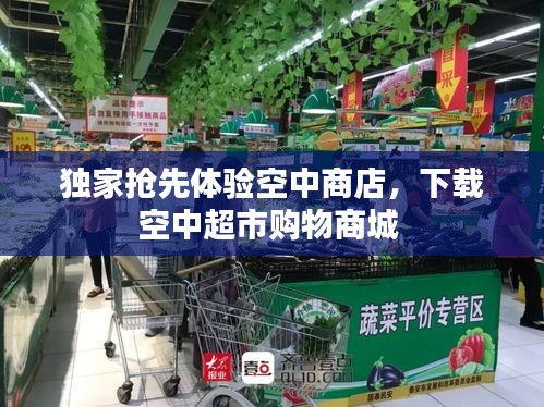 獨(dú)家搶先體驗(yàn)空中商店，下載空中超市購物商城 
