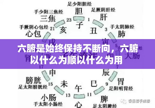 六腑是始終保持不斷向，六腑以什么為順以什么為用 