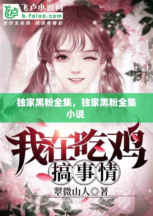 獨家黑粉全集，獨家黑粉全集小說 