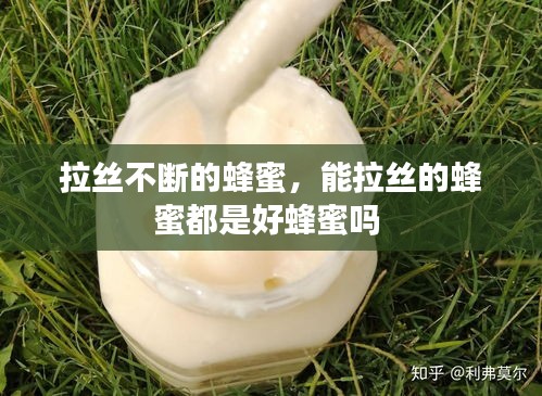 拉絲不斷的蜂蜜，能拉絲的蜂蜜都是好蜂蜜嗎 