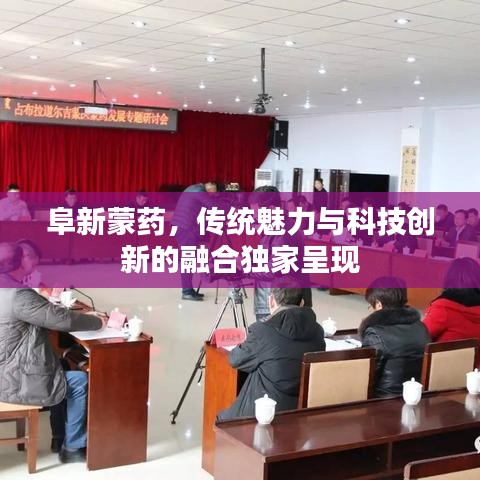 阜新蒙藥，傳統(tǒng)魅力與科技創(chuàng)新的融合獨家呈現(xiàn)