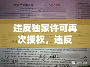 違反獨家許可再次授權(quán)，違反獨家代理權(quán)合同違約責(zé)任 