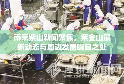 南京紫山新聞聚焦，紫金山最新動(dòng)態(tài)與周邊發(fā)展矚目之處