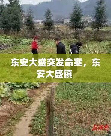 玉樹臨風(fēng) 第2頁