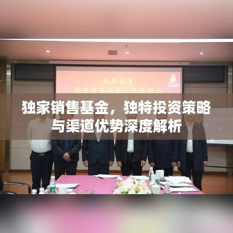 獨家銷售基金，獨特投資策略與渠道優(yōu)勢深度解析
