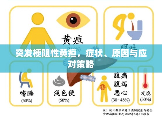 突發(fā)梗阻性黃疸，癥狀、原因與應(yīng)對(duì)策略