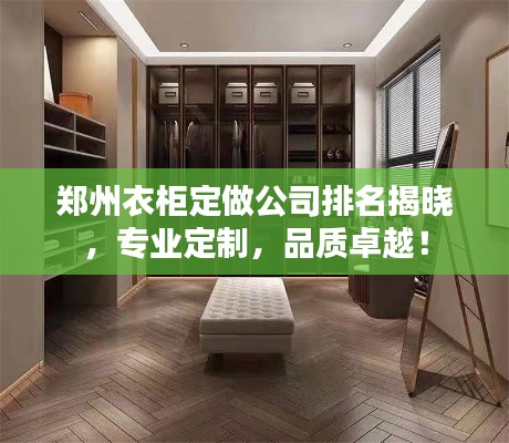 鄭州衣柜定做公司排名揭曉，專業(yè)定制，品質(zhì)卓越！