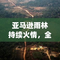 亞馬遜雨林持續(xù)火情，全球面臨嚴(yán)峻生態(tài)挑戰(zhàn)