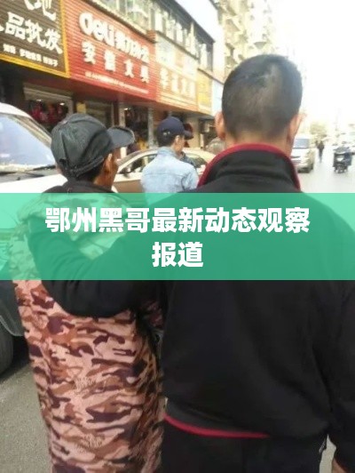 鄂州黑哥最新動態(tài)觀察報道