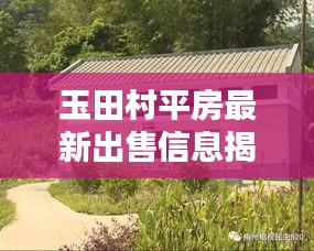 玉田村平房最新出售信息揭秘，優(yōu)質(zhì)房源一覽