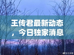 王傳君最新動態(tài)，今日獨家消息揭秘！