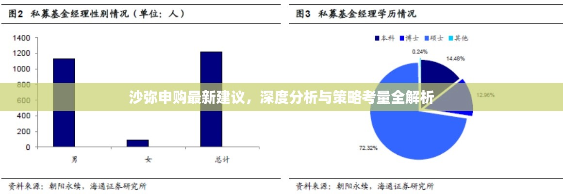 沙彌申購(gòu)最新建議，深度分析與策略考量全解析