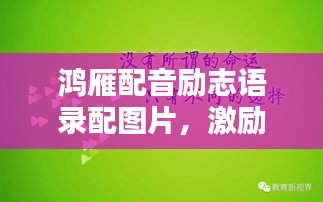 鴻雁配音勵(lì)志語(yǔ)錄配圖片，激勵(lì)你前行的力量！