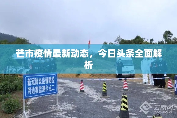 芒市疫情最新動(dòng)態(tài)，今日頭條全面解析
