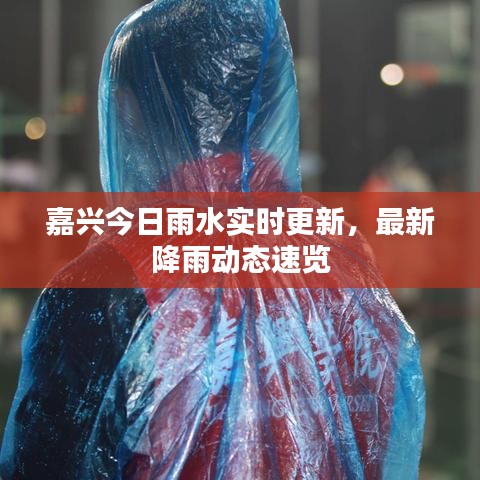 嘉興今日雨水實時更新，最新降雨動態(tài)速覽