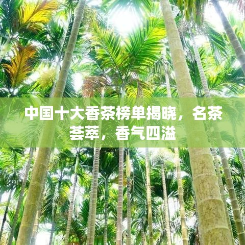 中國十大香茶榜單揭曉，名茶薈萃，香氣四溢