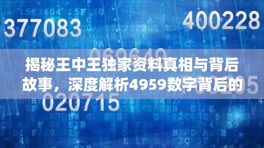 揭秘王中王獨家資料真相與背后故事，深度解析4959數(shù)字背后的秘密