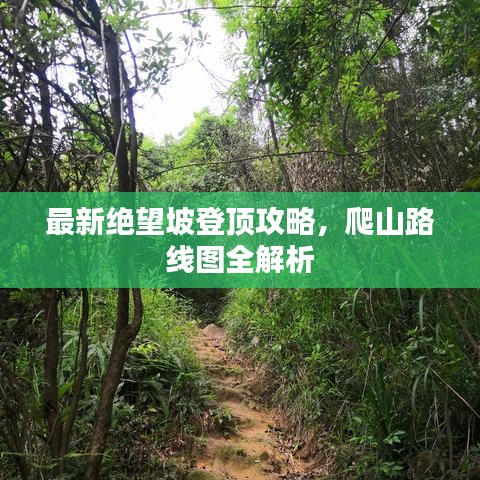 最新絕望坡登頂攻略，爬山路線圖全解析