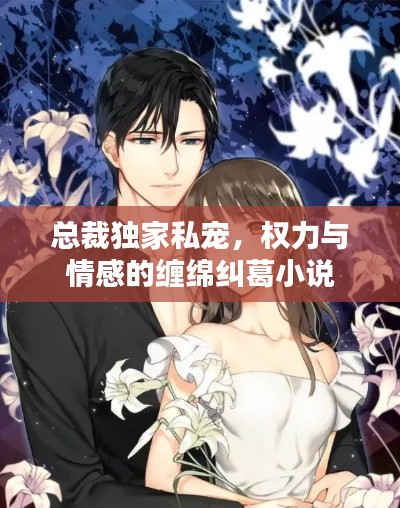 總裁獨家私寵，權(quán)力與情感的纏綿糾葛小說