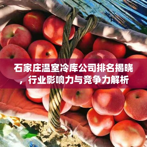 石家莊溫室冷庫公司排名揭曉，行業(yè)影響力與競爭力解析