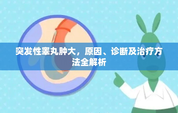 突發(fā)性睪丸腫大，原因、診斷及治療方法全解析