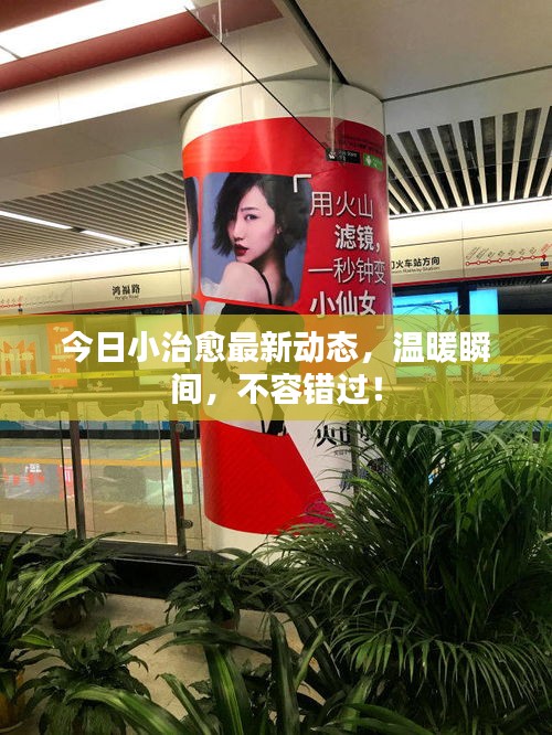 今日小治愈最新動態(tài)，溫暖瞬間，不容錯過！