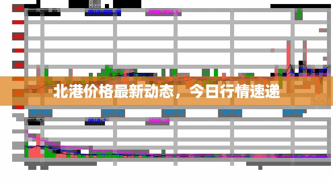 北港價(jià)格最新動(dòng)態(tài)，今日行情速遞