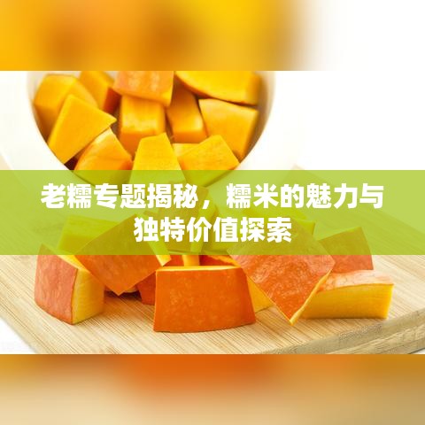 老糯專題揭秘，糯米的魅力與獨(dú)特價(jià)值探索