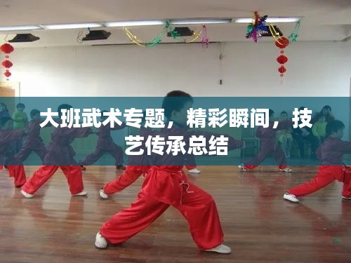 大班武術專題，精彩瞬間，技藝傳承總結