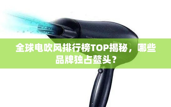 全球電吹風排行榜TOP揭秘，哪些品牌獨占鰲頭？