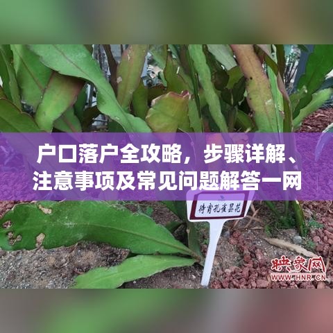 戶口落戶全攻略，步驟詳解、注意事項(xiàng)及常見問題解答一網(wǎng)打盡！