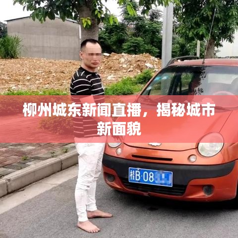 柳州城東新聞直播，揭秘城市新面貌