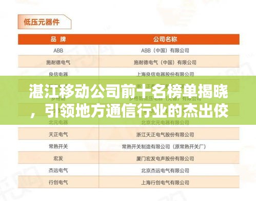 湛江移動(dòng)公司前十名榜單揭曉，引領(lǐng)地方通信行業(yè)的杰出佼佼者