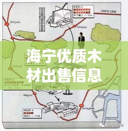 海寧優(yōu)質(zhì)木材出售信息，最新動(dòng)態(tài)一網(wǎng)打盡